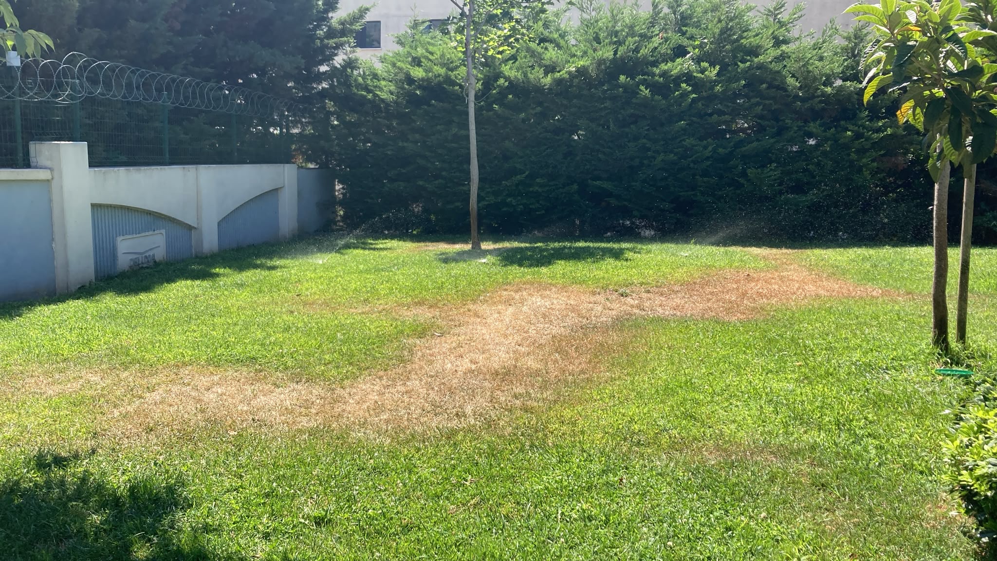 Diğer villa bahçesi, uygulama öncesi gerçek fotoğraf