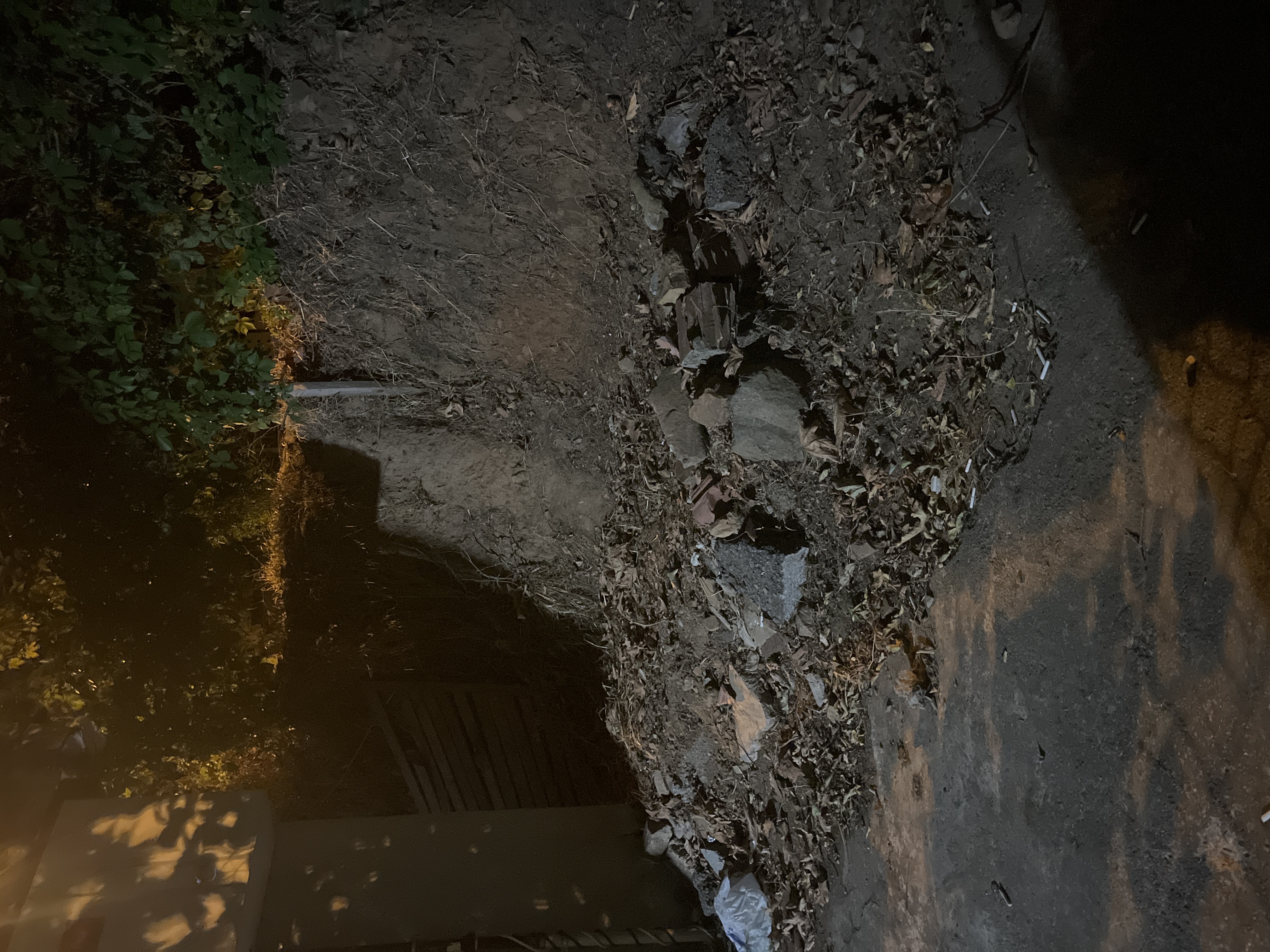 Sarıyer villa bahçesi, uygulama öncesi gerçek fotoğraf